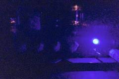 12990914_1066933473374574_2303806635777619080_n